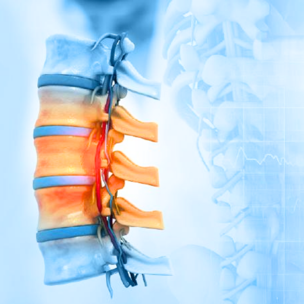 Orthopedic and Trauma, Gout Pain, Bone and Joint Paralysis Specialist and Surgeon