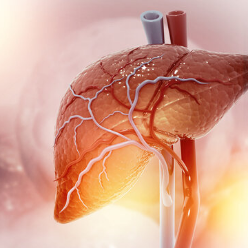 Medicine, Liver, and Gastrointestinal Disease Specialist