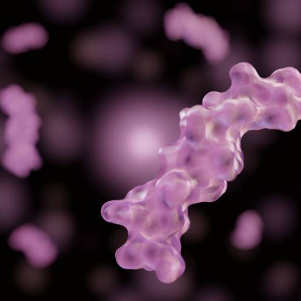 Hormone, Thyroid, Diabetes, and Medicine Specialist