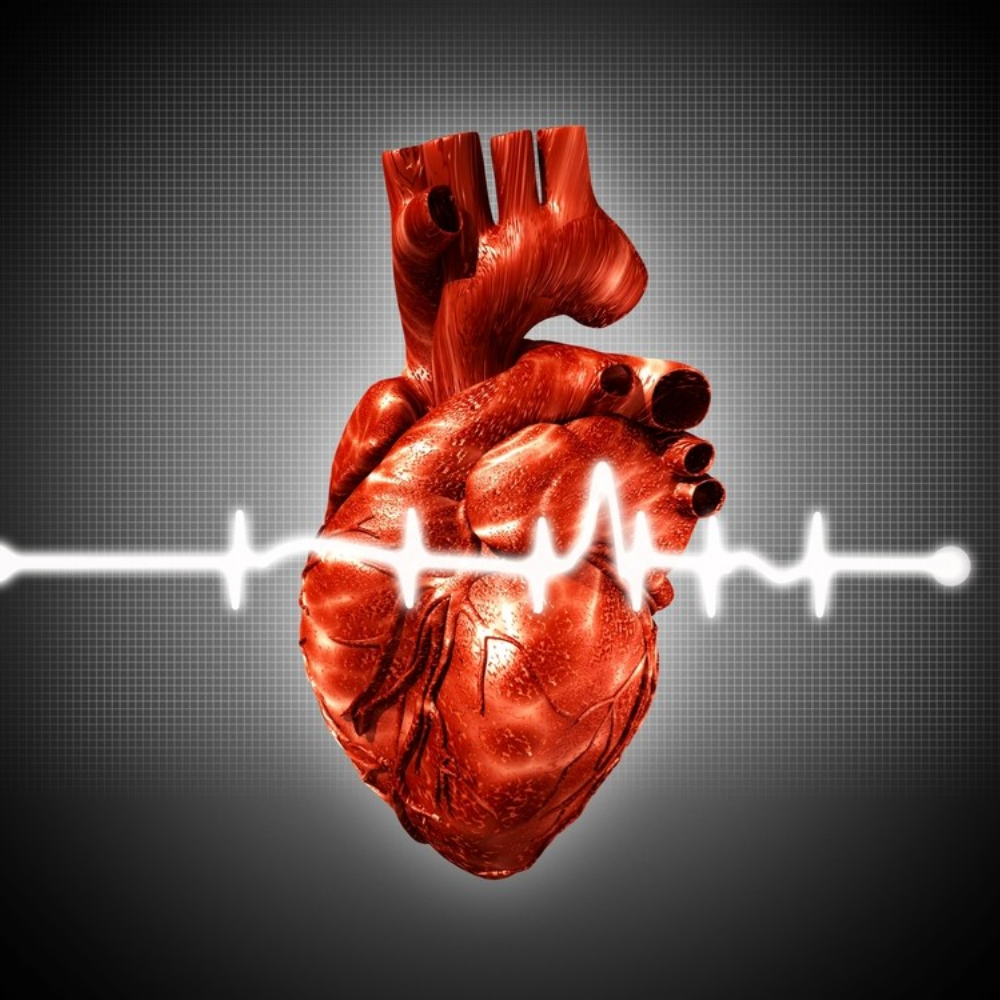 Pediatric Cardiologist and Pediatric Specialist