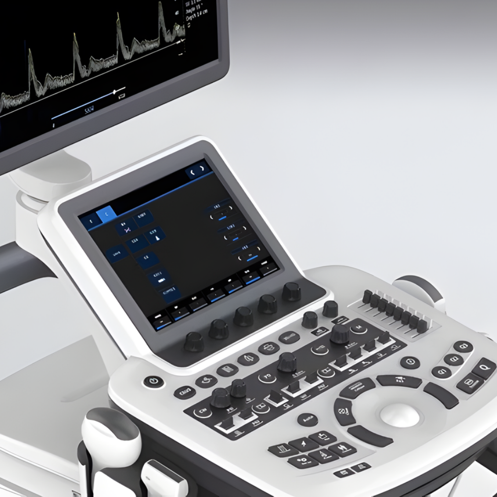 4D Color Ultrasonography
