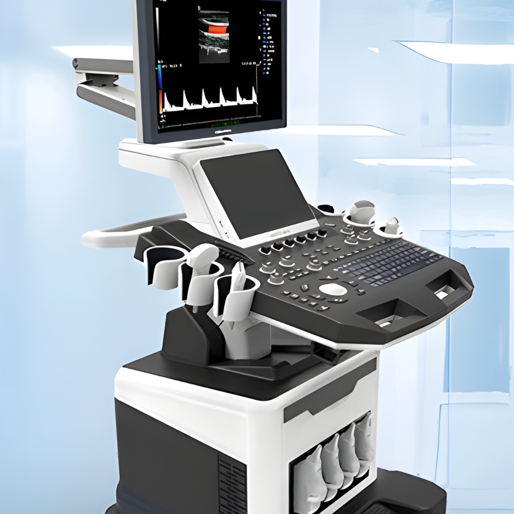 Echo and Color Doppler