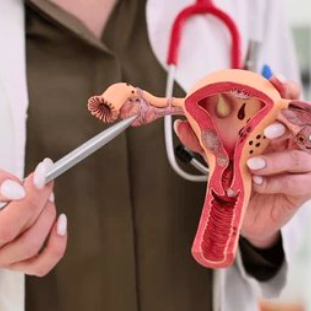 স্ত্রীরোগ, বন্ধ্যাত্ব, প্রসূতি বিদ্যা ও টিভিএস (TVS) আল্ট্রাসনোগ্রাফি বিশেষজ্ঞ